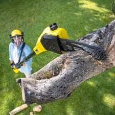 Best Lawn Watering Services  in Lake Vla, IL